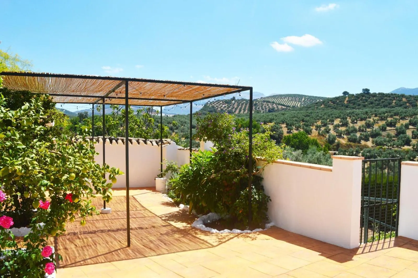 Cortijo La Canada Zambra 0*,