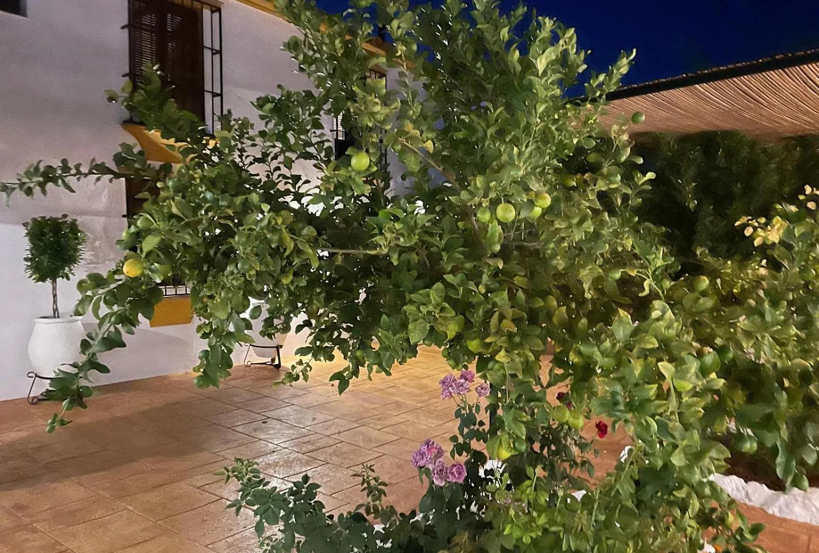 Holiday home Cortijo La Canada Zambra