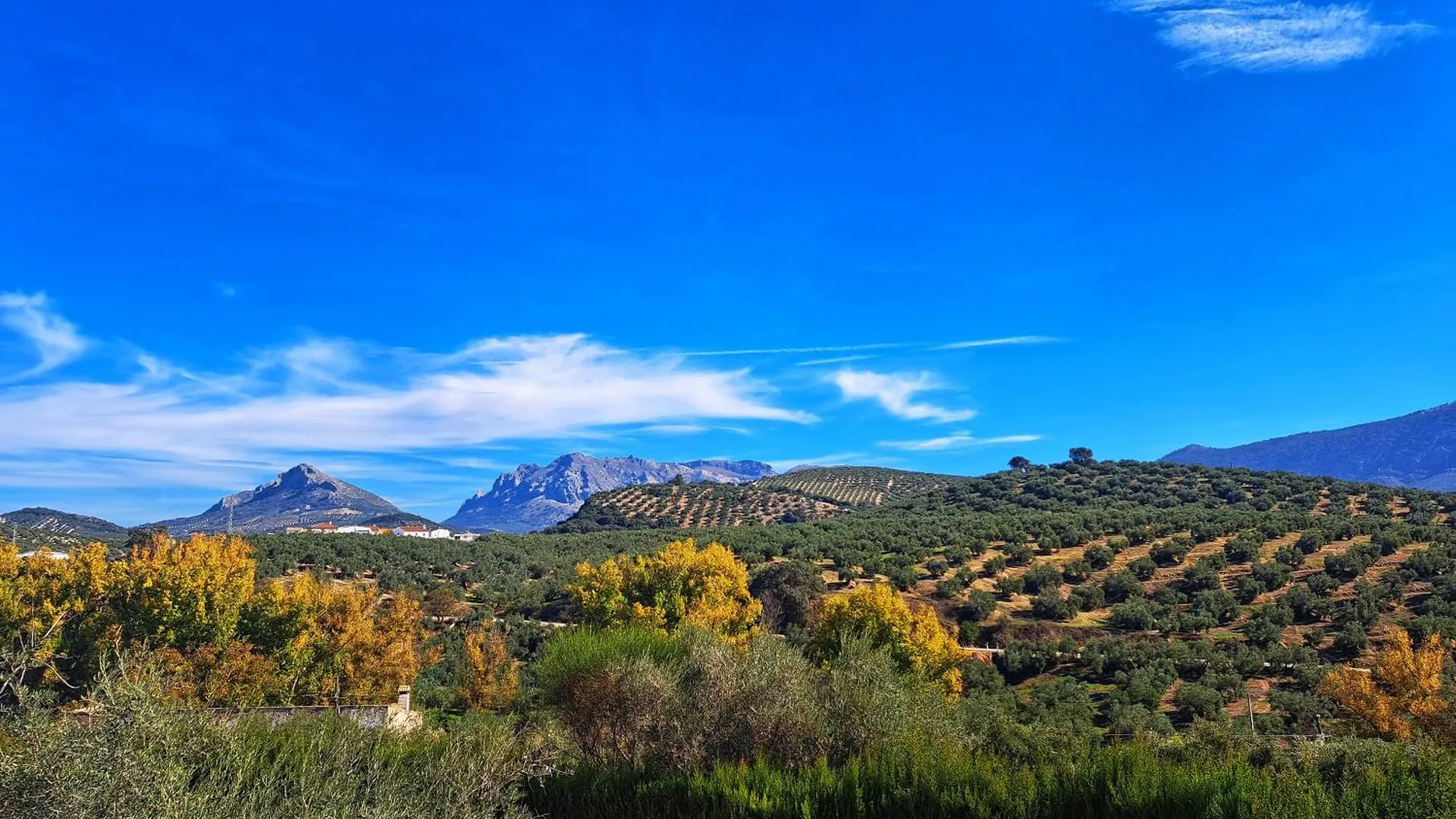Cortijo La Canada Zambra Spain