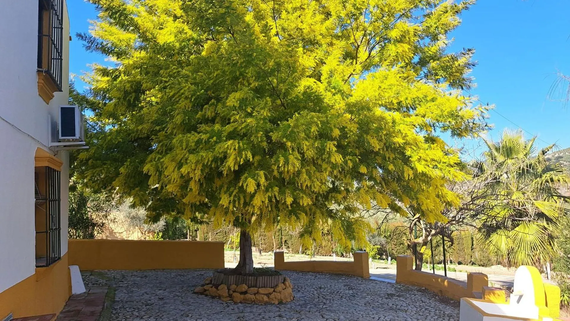 Holiday home Cortijo La Canada Zambra